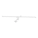 RHAWN 1,2-diarachidoyl-sn-glycero-3-phosphocholine