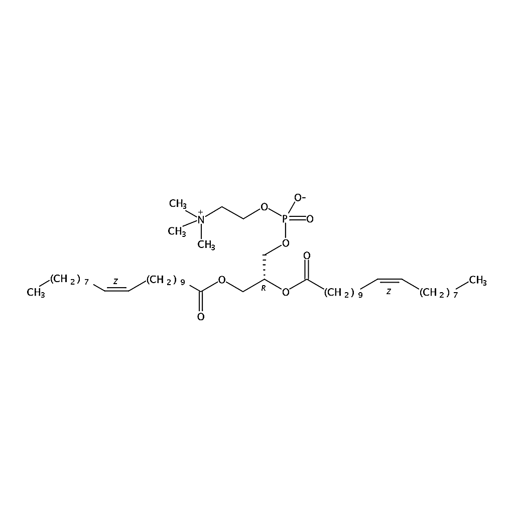 RHAWN 1,2-dieicosenoyl-sn-glycero-3-phosphocholine
