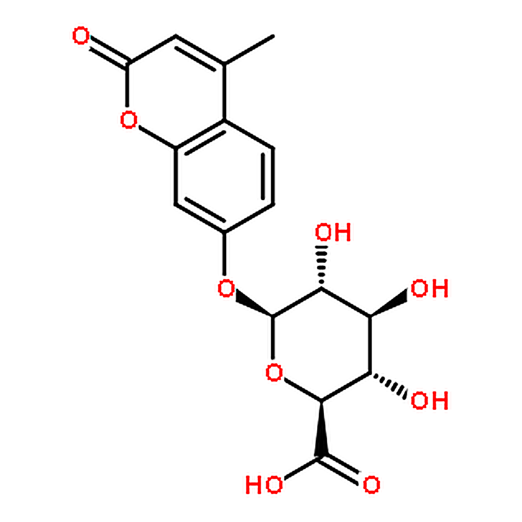 RHAWN 4-Methylumbelliferyl--D-glucuronide