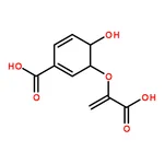 RHAWN Chorismic acid, from Enterobacter aerogenes