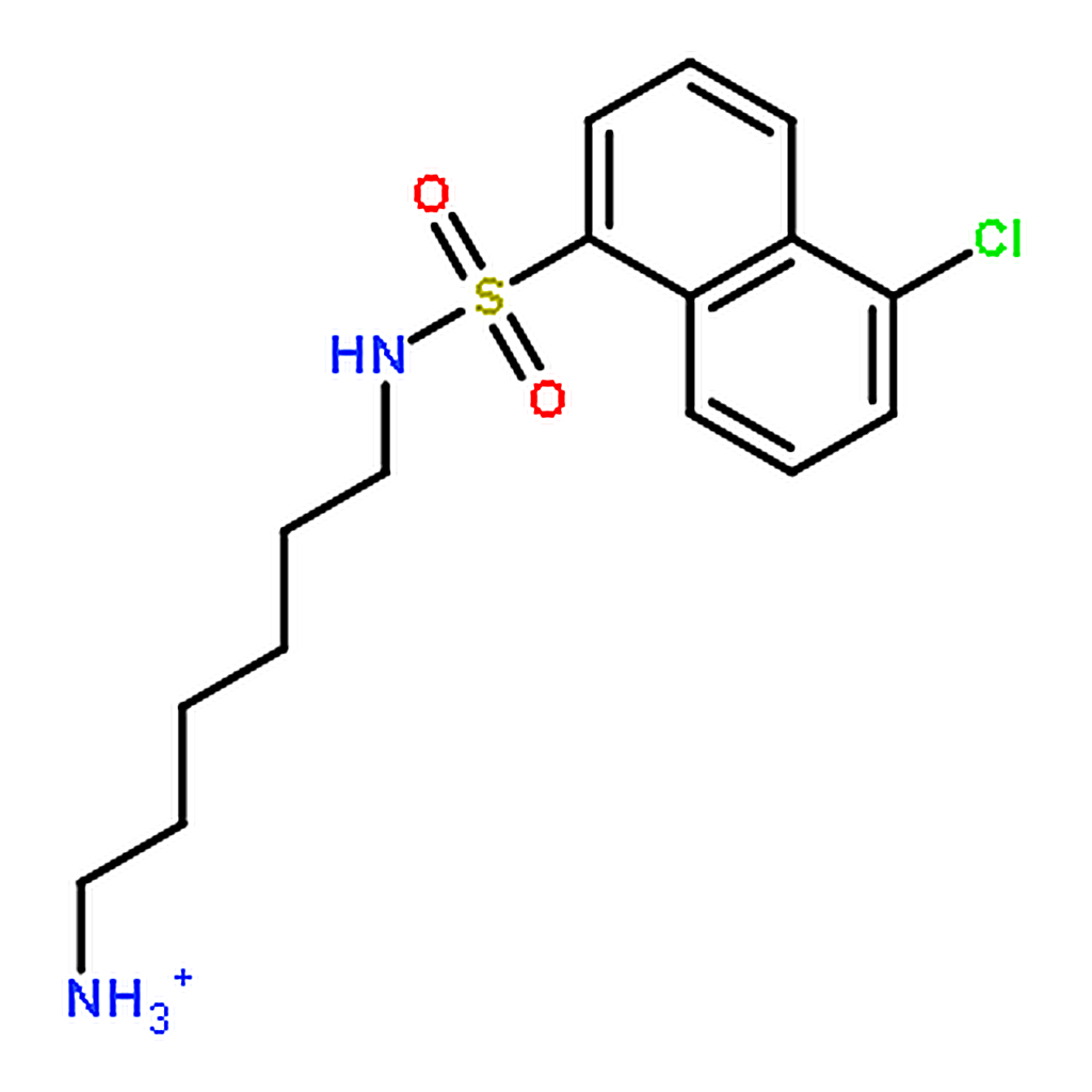 RHAWN N-(6-Aminohexyl)-5-chloro-1-naphthalenesulfonamide Hydrochloride