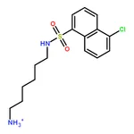 RHAWN N-(6-Aminohexyl)-5-chloro-1-naphthalenesulfonamide Hydrochloride