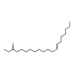 RHAWN Methyl <i>trans</i>-11-Octadecenoate