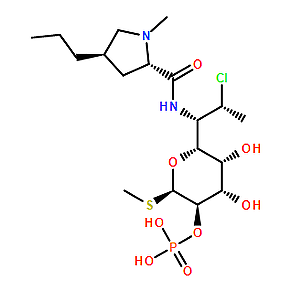 RHAWN 7-Epiclindamycin 2-Phosphate