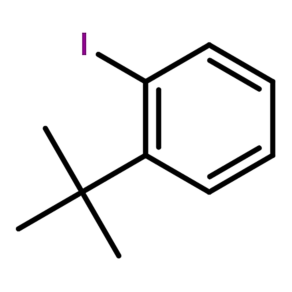RHAWN 1-(tert-Butyl)-2-iodobenzene