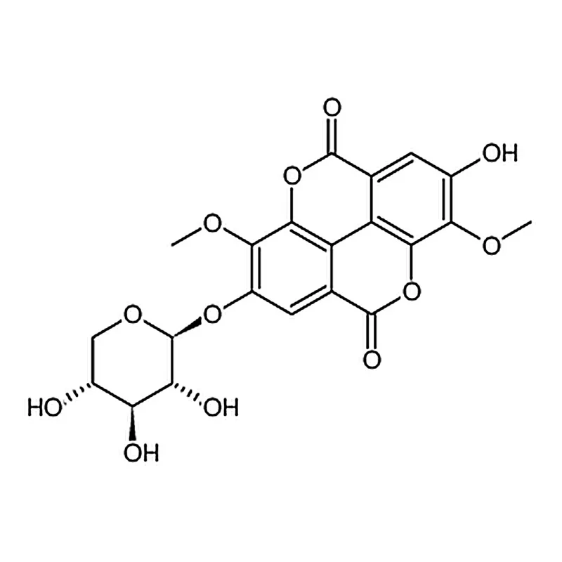 RHAWN 3-O-Methylducheside A