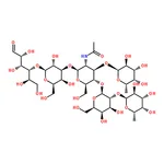 RHAWN Lacto-N-neodifucohexaose 1
