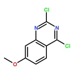 RHAWN 2,4-Dichloro-7-methoxyquinazoline