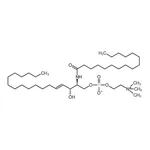 RHAWN N-palmitoyl-D-erythro-sphingosylphosphorylcholine