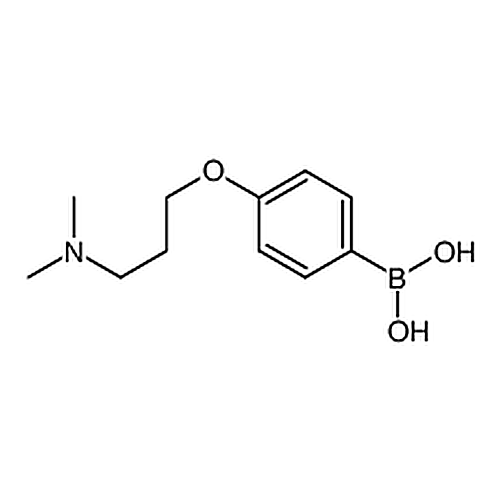 RHAWN 4-(3-(Dimethylamino)propoxy)phenylboronic acid