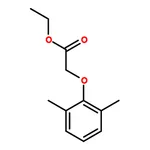 RHAWN 2-(2,6-Dimethylphenoxy)ethyl acetate