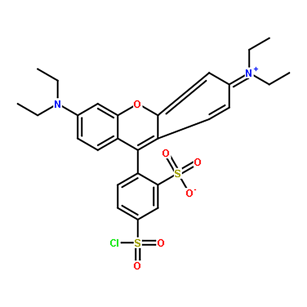 RHAWN LISSAMINE RHODAMINE B SULFONYL CHLORIDE