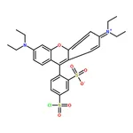 RHAWN LISSAMINE RHODAMINE B SULFONYL CHLORIDE