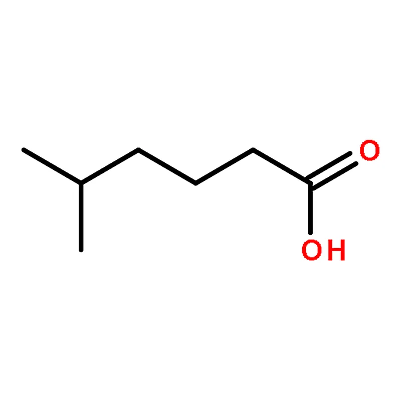 RHAWN 5-Methylhexanoic Acid