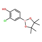 RHAWN 3-Chloro-4-Hydroxyphenylboronic Acid Pinacol Ester