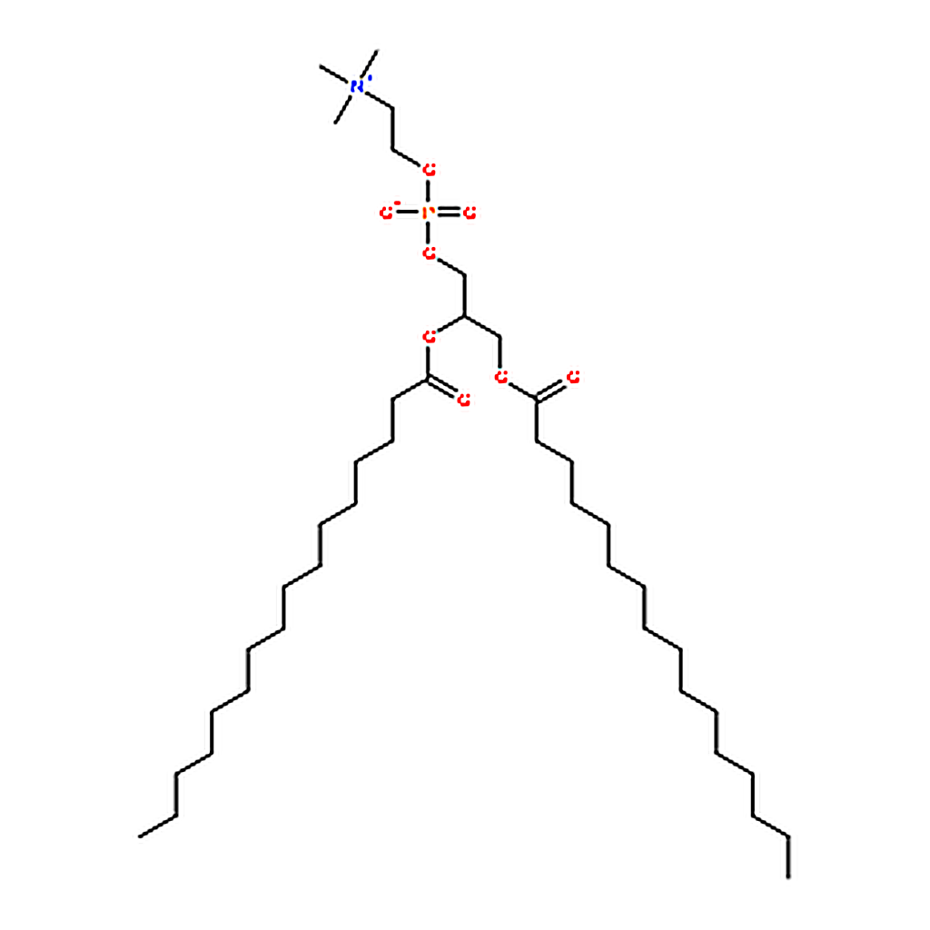 RHAWN 1,2-dipalmitoyl-sn-glycero-3-phosphocholine