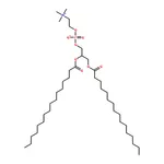 RHAWN 1,2-dipalmitoyl-sn-glycero-3-phosphocholine