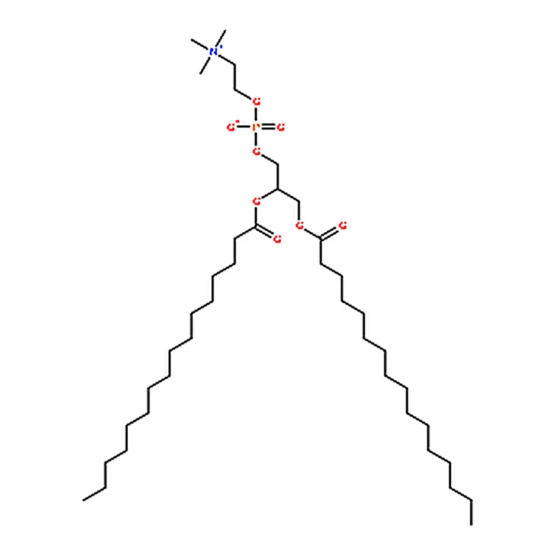 RHAWN 1,2-dipalmitoyl-sn-glycero-3-phosphocholine