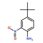 RHAWN 4-(TERT-BUTYL)-2-NITROANILINE