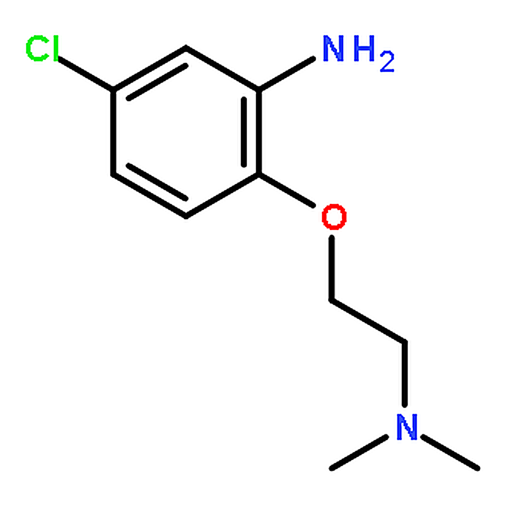 RHAWN 5-Chloro-2-(2-(dimethylamino)ethoxy)aniline