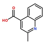 RHAWN 2-Methyl-quinoline-4-carboxylic acid