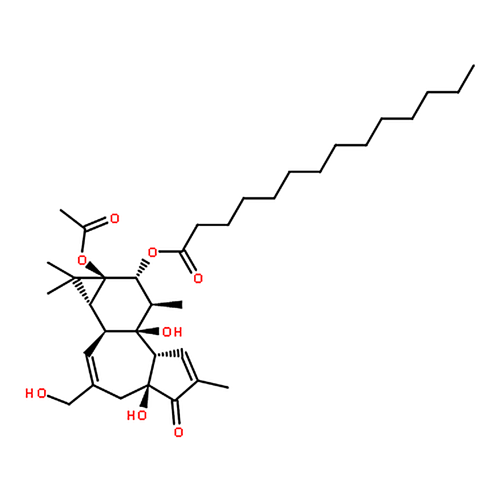 RHAWN 4-Phorbol 12-myristate 13-acetate