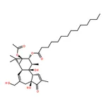 RHAWN 4-Phorbol 12-myristate 13-acetate