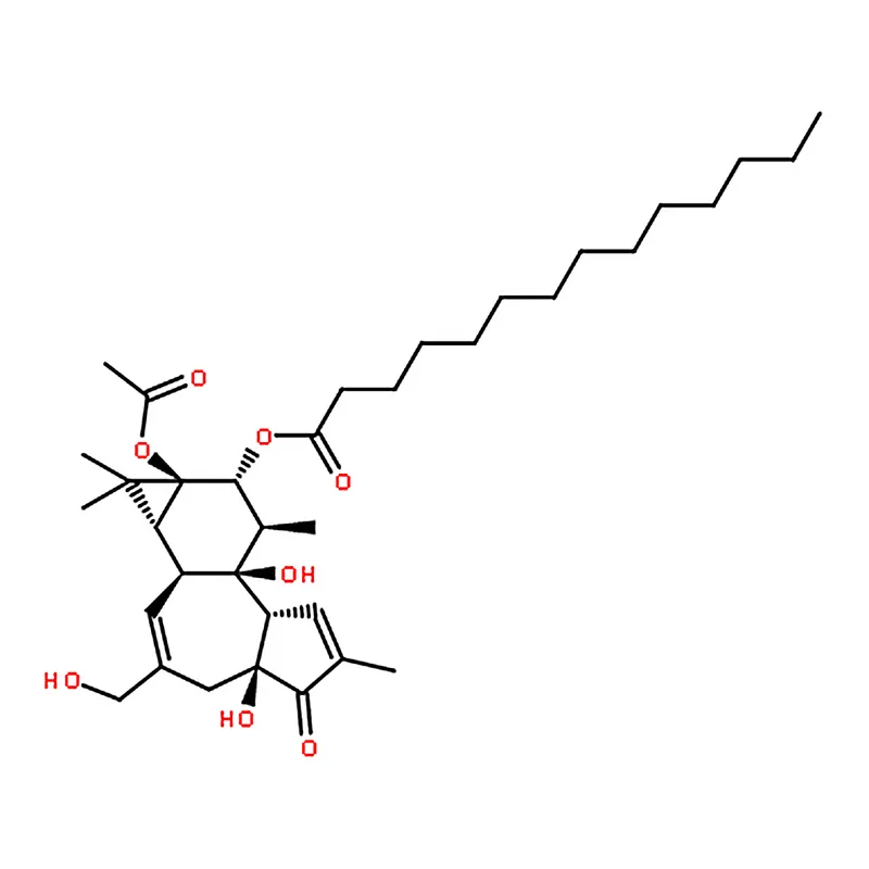 RHAWN 4-Phorbol 12-myristate 13-acetate