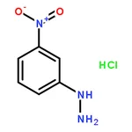 RHAWN 3-Nitrophenylhydrazine hydrochloride