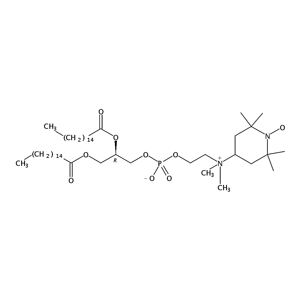 RHAWN 1,2-dipalmitoyl-sn-glycero-3-phospho(tempo)choline
