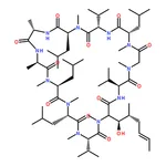 RHAWN Cyclosporin D, 95%, from Micromonospora