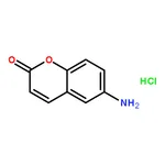 RHAWN 6-Aminocoumarin hydrochloride