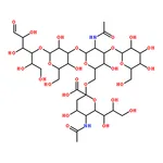 RHAWN LS-Tetrasaccharide b (LSTb)