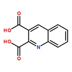 RHAWN 2,3-Quinolinedicarboxylic Acid