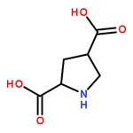 RHAWN L-trans-Pyrrolidine-2,4-dicarboxylic acid