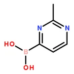 RHAWN 2-Methyl-4-pyrimidinylboronic acid