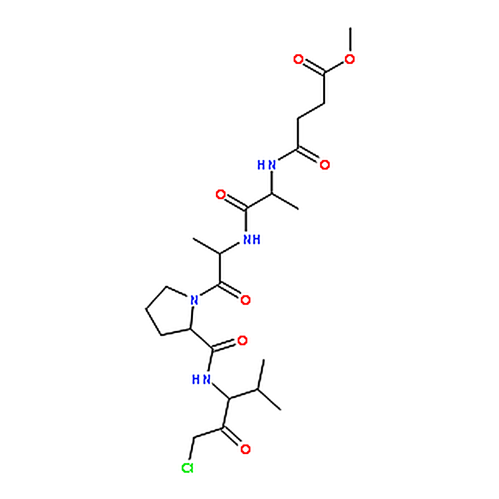RHAWN N-(Methoxysuccinyl)-Ala-Ala-Pro-Val chloromethyl ketone