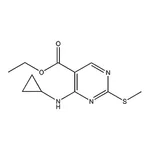 RHAWN Ethyl 4-(cyclopropylamino)-2-(methylthio)pyrimidine-5-carboxylate