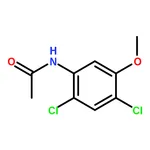 RHAWN N-(2,4-Dichloro-5-methoxyphenyl)acetamide