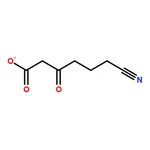 RHAWN 2-Cyanoethyl 3-Oxobutyrate