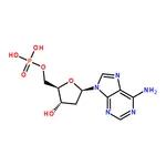 RHAWN 2▽-Deoxyadenosine 5▽-monophosphate