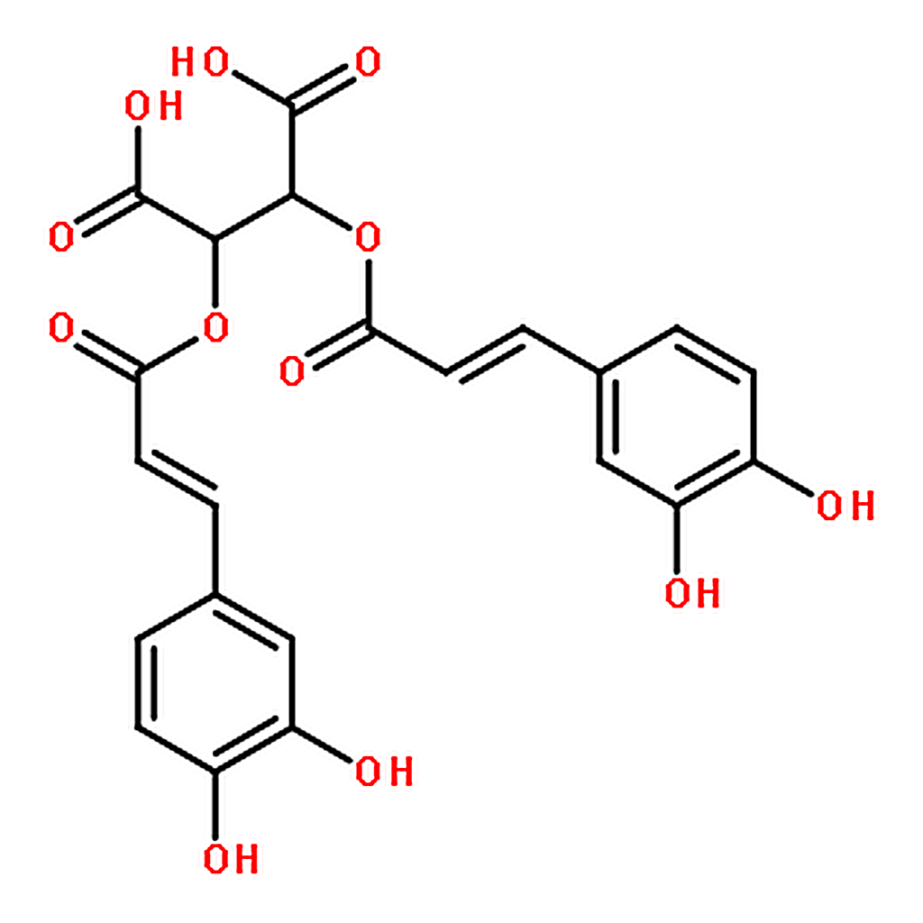 RHAWN Chicoric acid