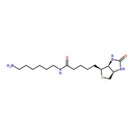 RHAWN N-Biotinyl-1,6-hexanediamine