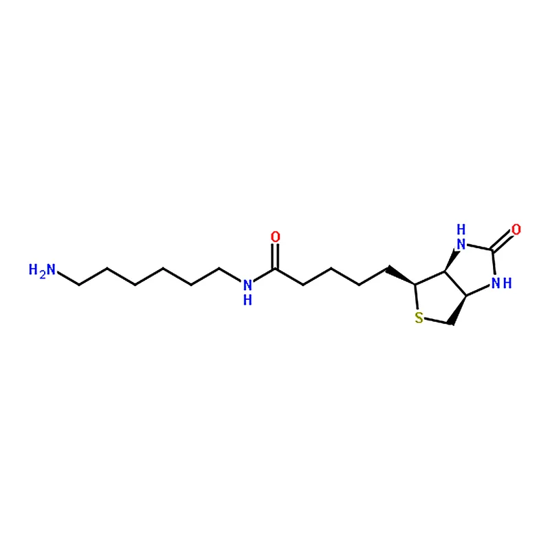 RHAWN N-Biotinyl-1,6-hexanediamine