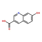 RHAWN 7-Hydroxyquinoline-3-carboxylic acid