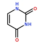 RHAWN Uracil Solution