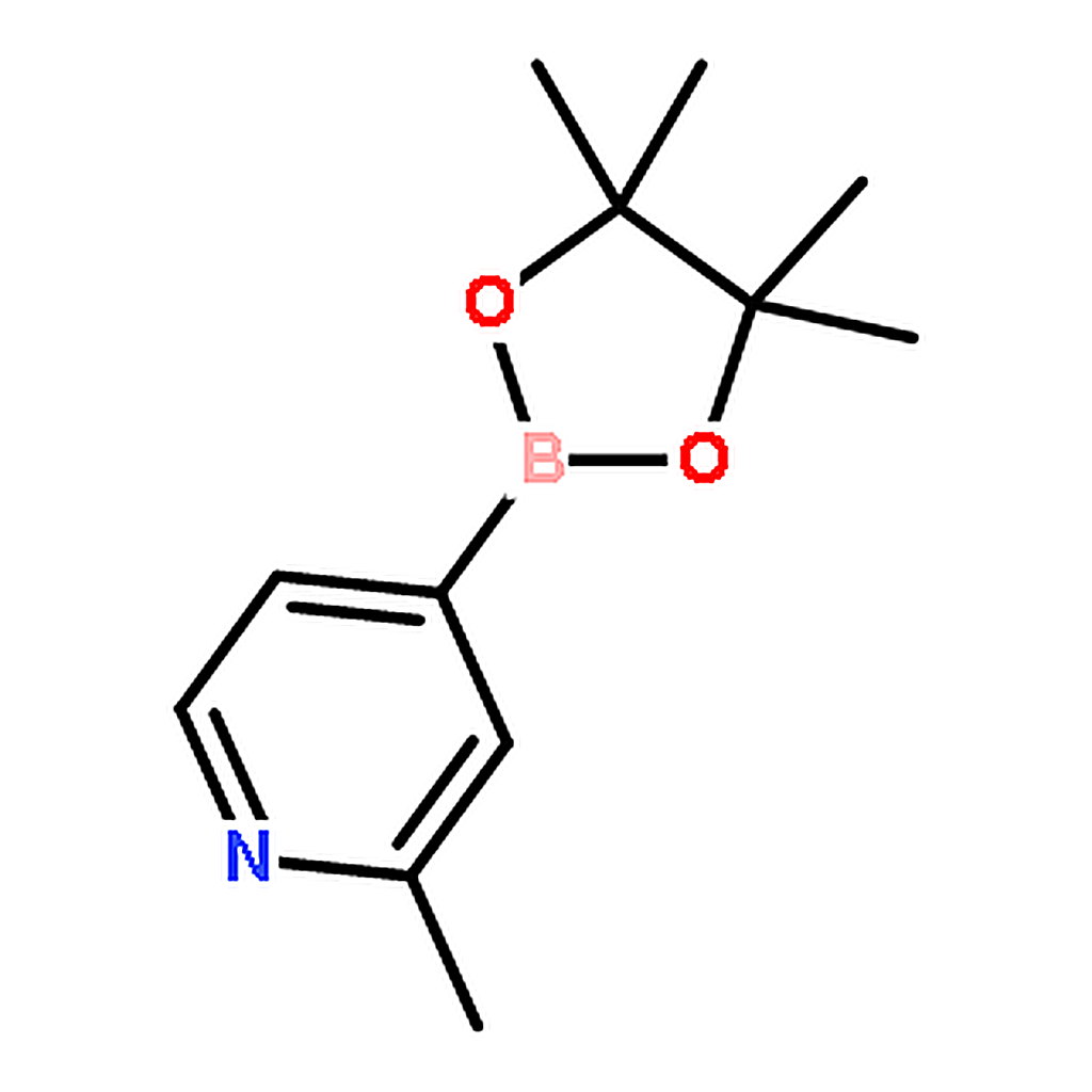 RHAWN 2-Methylpyridine-4-boronic acid pinacol ester