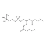 RHAWN 1,2-dipentanoyl-sn-glycero-3-phosphocholine