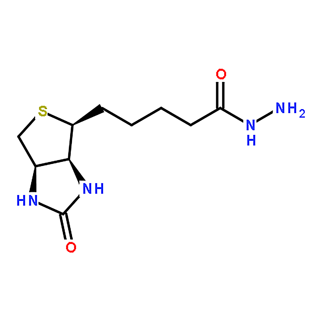 RHAWN (+)-Biotin hydrazide