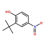 RHAWN 2-(tert-Butyl)-4-nitrophenol